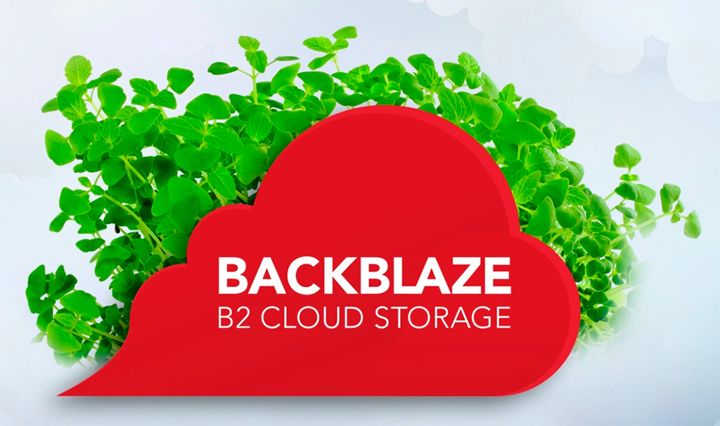 Backblaze начала предоставлять услугу облачного майнинга Chia