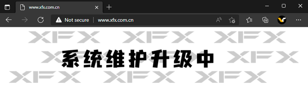 У китайского подразделения XFX серьёзные проблемы с таможней